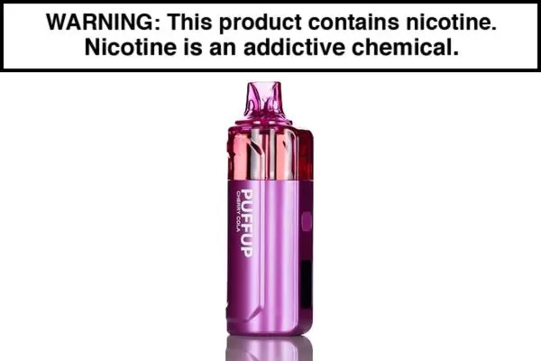 PUFFUP 25K DISPOSABLE VAPE – 25,000 PUFFS