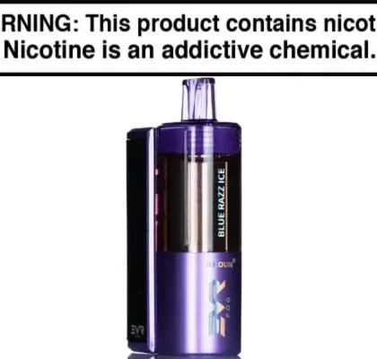 EVRFOG 100K Kit Disposable Vape 100,000 Puffs