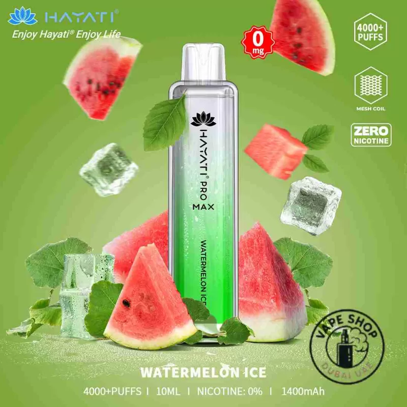 HAYATI Pro Max 4000 Plus Puffs 20mg Disposable Vape In Dubai, UAE - Image 2