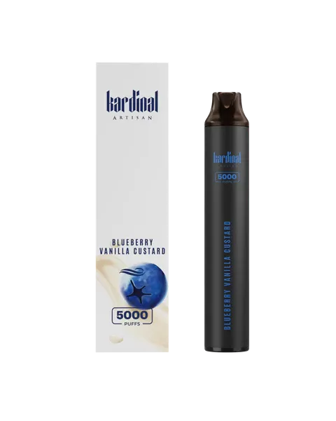 KARDINAL ARTISAN STICK DISPOSABLE VAPE POD 5000 PUFFS