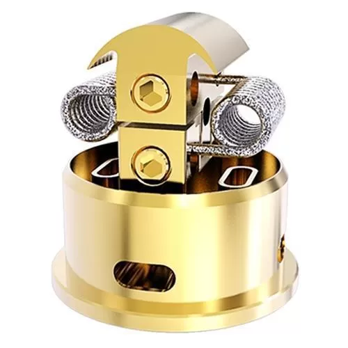 Y Star – Legend RDA - Image 2