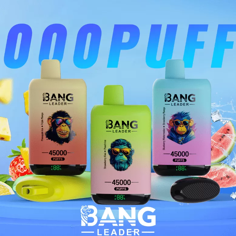 Bang Leader 45000 – 45K Puffs 0-5% Nicotine Dual Mesh Coils Disposable Vape