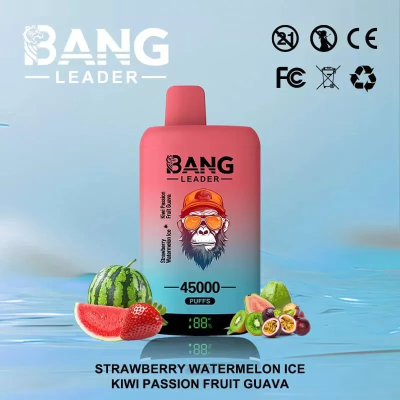 Bang Leader 45000 – 45K Puffs 0-5% Nicotine Dual Mesh Coils Disposable Vape - Image 3
