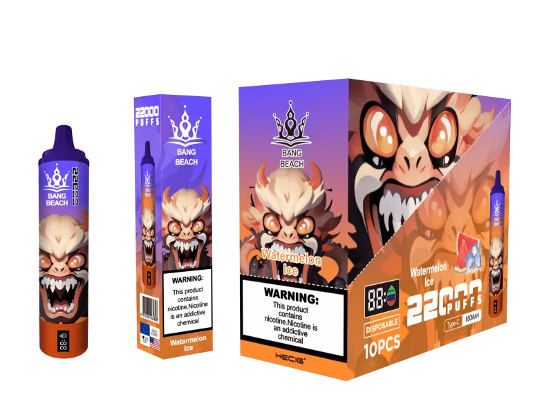 BANG BEACH 22000 – 22K Puffs 850mAh Adjustable Airflow Disposable Vape - Image 2