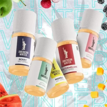 AMERICAN WINTER SALTNIC 30ML