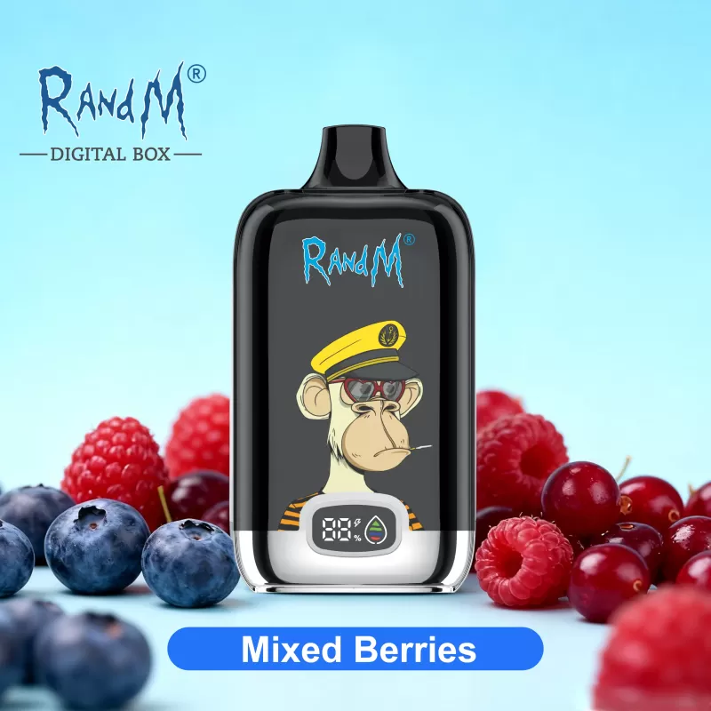 RAndM Digital Box 12000 Disposable Vape