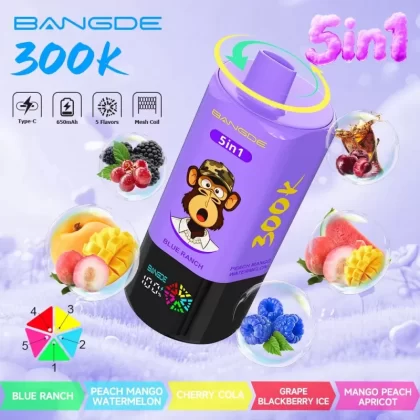 Bang DE 300k puffs5-in-1 Disposable Vape