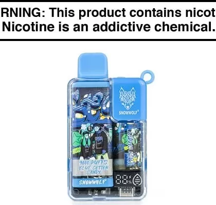 SNOWWOLF EASY SMART EA9000 DISPOSABLE VAPE – 9,000 PUFFS