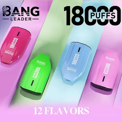 BANG LEADER 18K Vape | 18000 Puffs Disposable Vapes