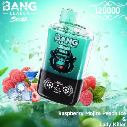 Bang Leader Stoll 120K Disposable Vape – Dual Flavor