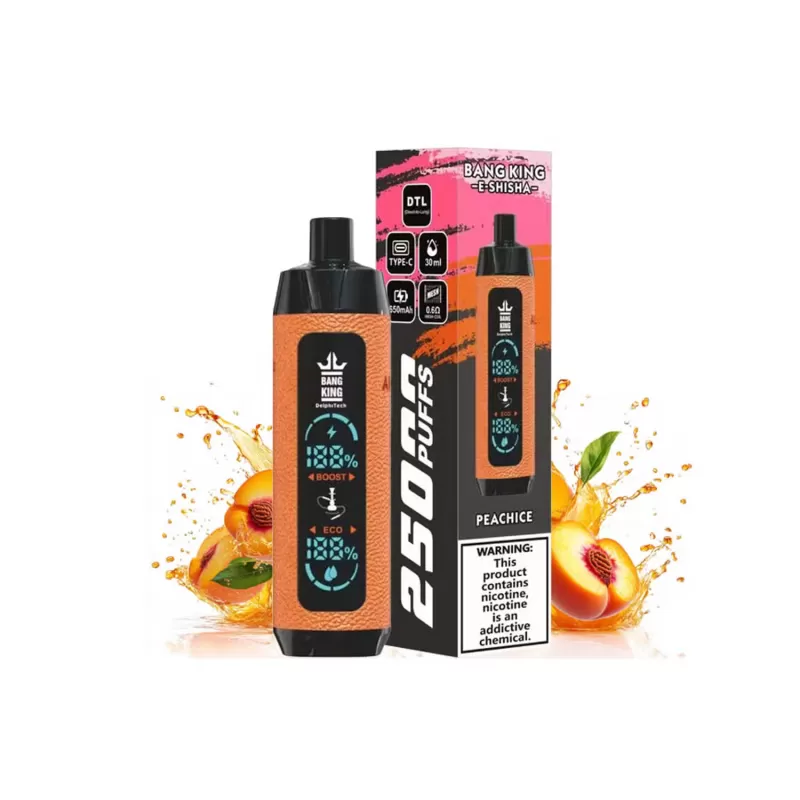 Bang King Shisha 25000 Puffs Disposable Vape Pen - Image 3
