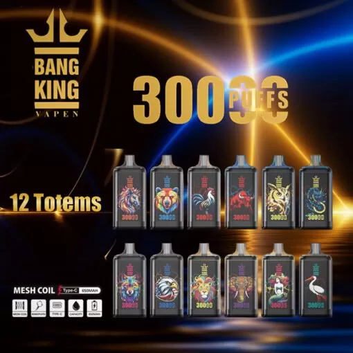 Bang King Crystal Vape 2% 3% 5% Nicotine Disposable Vape 30k Puffs