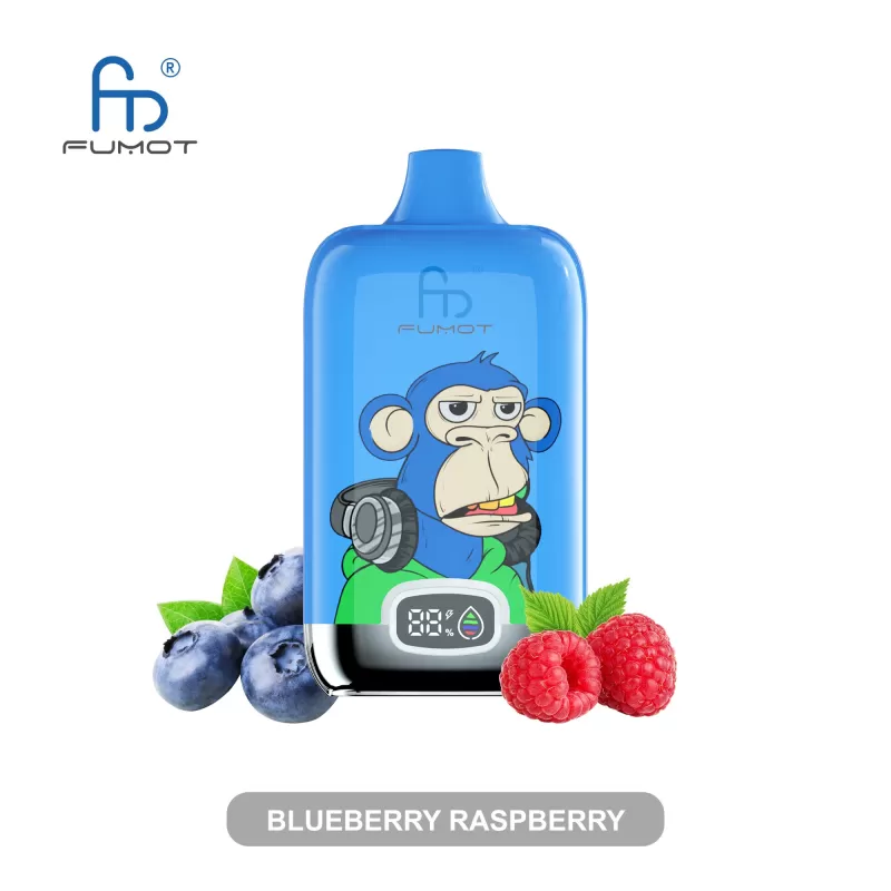 Fumot 12000 Blueberry Raspberry Vape | Top 10 E-Cigarette by RandMFumot 12000