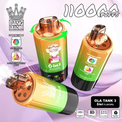Bang Leader 110000 Puffs 6-in-1 Disposable Vape | LED Display, Triple Mesh Coil, Rechargeable