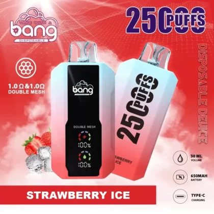 Bang 25000 25k Puffs Disposable Vape