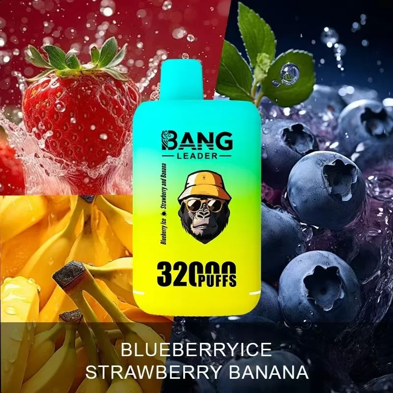 Bang Leader 32000 32k Puffs Disposable Vape - Image 3