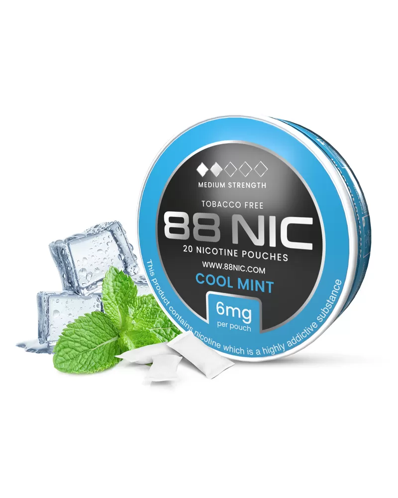 88 Nic Cool Mint Nicotine Pouches - Image 3