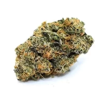 Blue J Marijuana Strain
