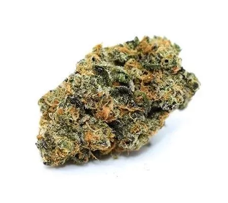 Blue J Marijuana Strain