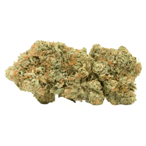 White LSD Cannabis Strain