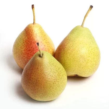 Asian Pears
