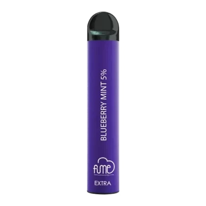 Blueberry Mint Fume Extra