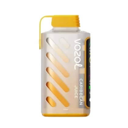 Caribbean Juice Vozol Gear Power 20000