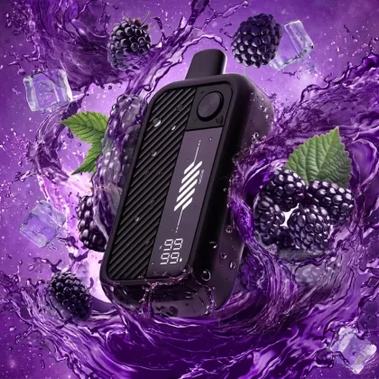 FLAVOUR BEAST MAX 3 60k – WINNIN’ WINTERBERRY ICED