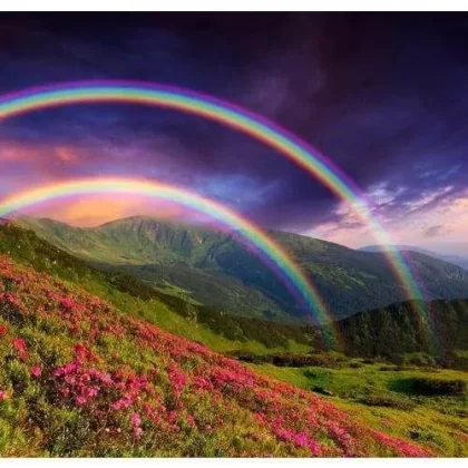 Razzpeach Rainbow E-Liquid
