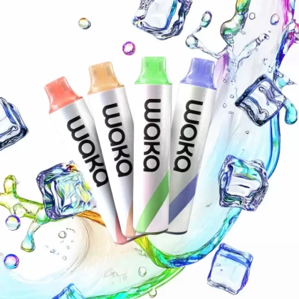 Waka GO 10000 - Grape Mint