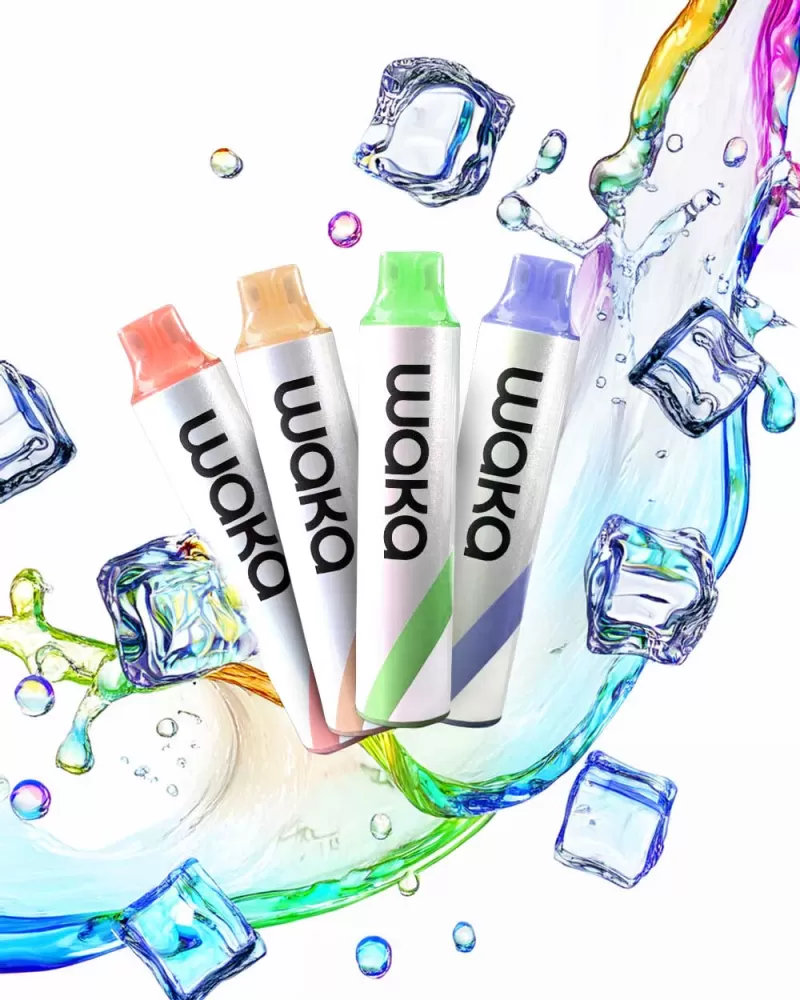 Waka GO 10000 - Grape Mint