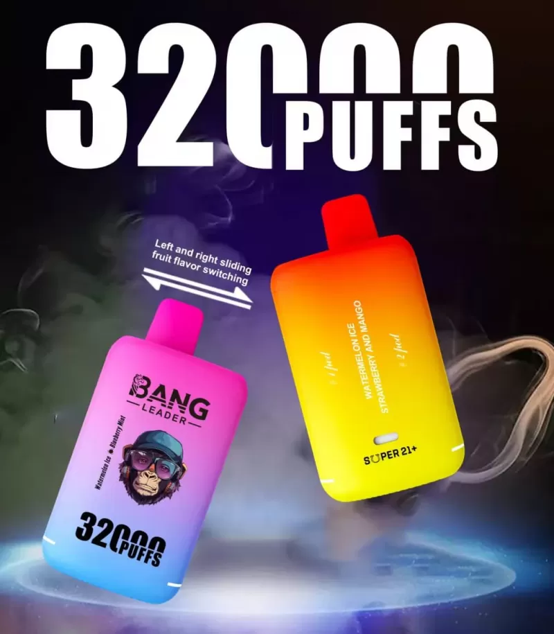 Bang Leader 32000 – 32K Puffs 28ml×2 E-liquid Dual Flavors Disposable Vape