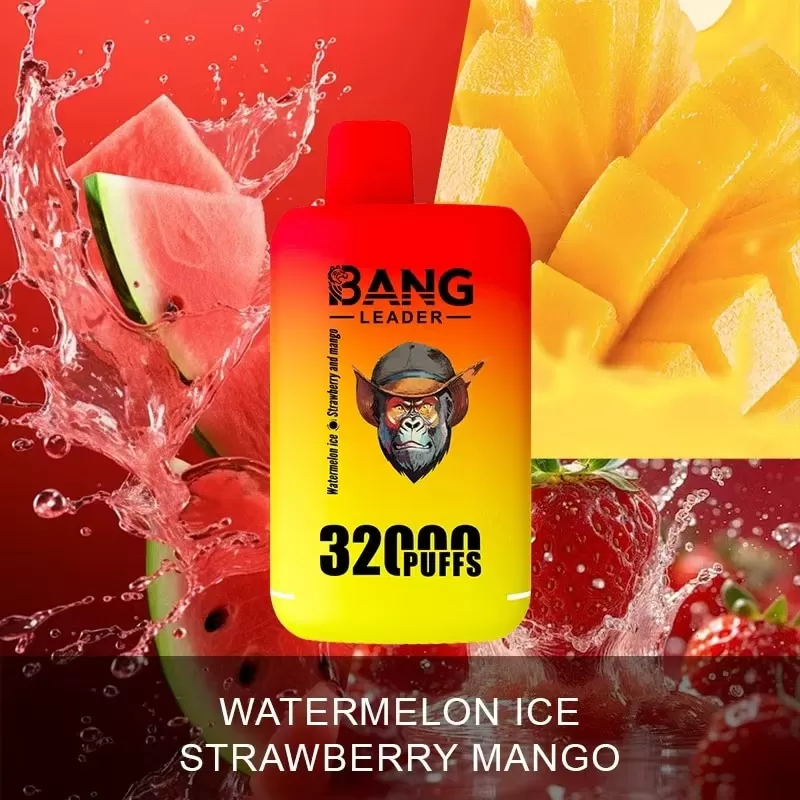 Bang Leader 32000 – 32K Puffs 28ml×2 E-liquid Dual Flavors Disposable Vape - Image 2