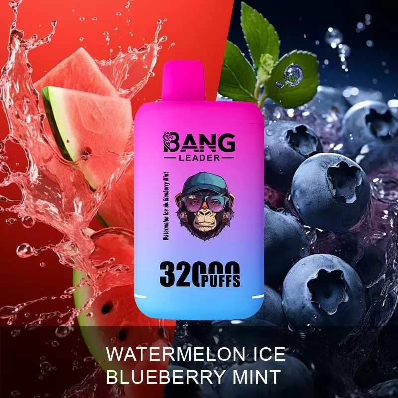 Bang Leader 32000 – 32K Puffs 28ml×2 E-liquid Dual Flavors Disposable Vape - Image 3