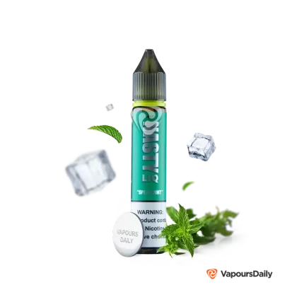 سالت نعناع نستی (30 میل) NASTY LIQ SPEARMINT