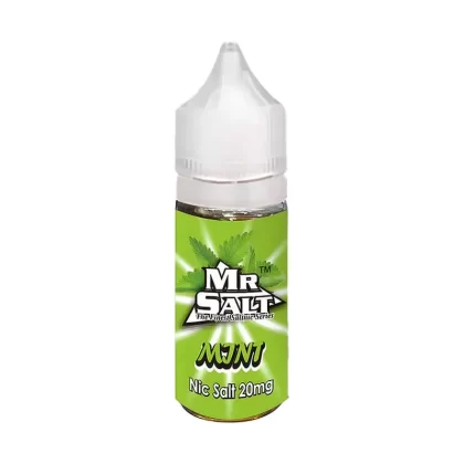 Mr Salt saltnic Mint Vape Juice - 10 Pack