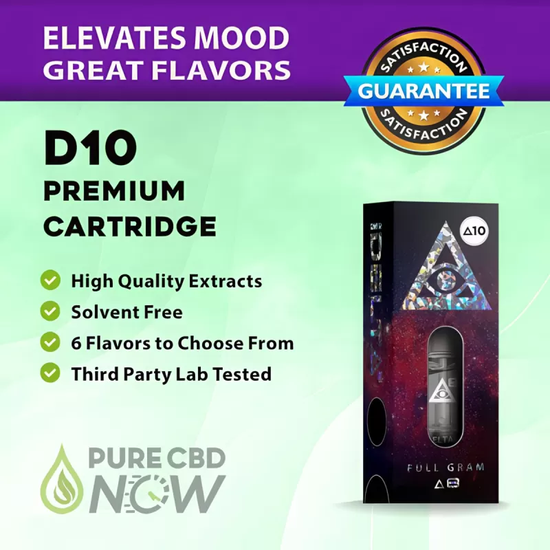 iDELTA Premium – Delta 10 Cartridge Full Gram - Image 3
