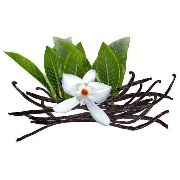 Vanilla Tobacco E-Liquid - Image 2
