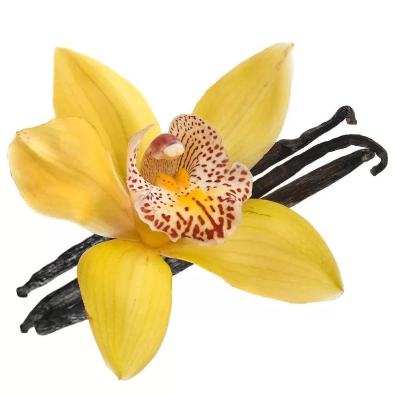 French Vanilla E-Liquid - Image 2