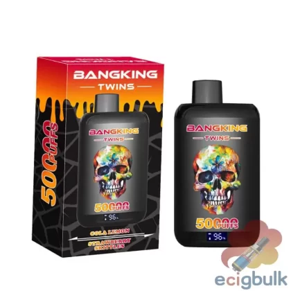 Bang King Twins 50K Disposable Vape – Dual Flavor & 50,000 Puffs