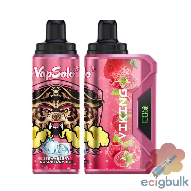 Vapsolo Viking 12000 Disposable Vape | 12K Puffs, Rechargeable, Adjustable Airflow