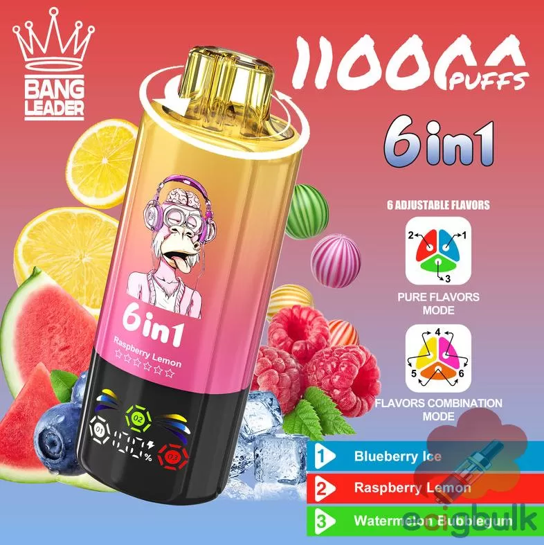 Bang LEADER 110K Disposable Vape – 110000 Puffs, Rechargeable with 10 Flavors