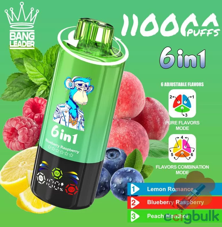Bang LEADER 110K Disposable Vape – 110000 Puffs, Rechargeable with 10 Flavors - Image 2