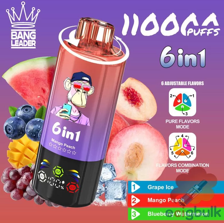 Bang LEADER 110K Disposable Vape – 110000 Puffs, Rechargeable with 10 Flavors - Image 3