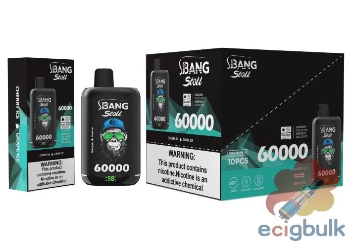 BANG LEADER 60K Disposable Vape | 60K Puffs | Multi-Flavor Fusion
