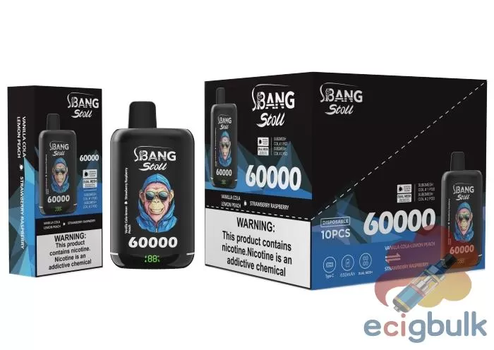 BANG LEADER 60K Disposable Vape | 60K Puffs | Multi-Flavor Fusion - Image 3